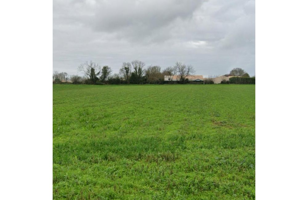 Vente terrain Ballon Charente-Maritime