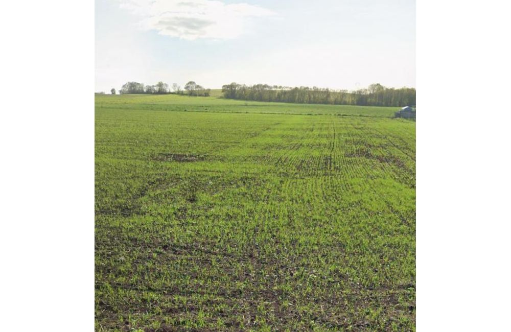 Vente terrain Ballon Charente-Maritime