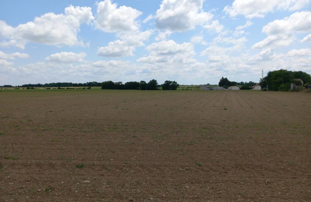 Vente terrain Le Thou Charente-Maritime