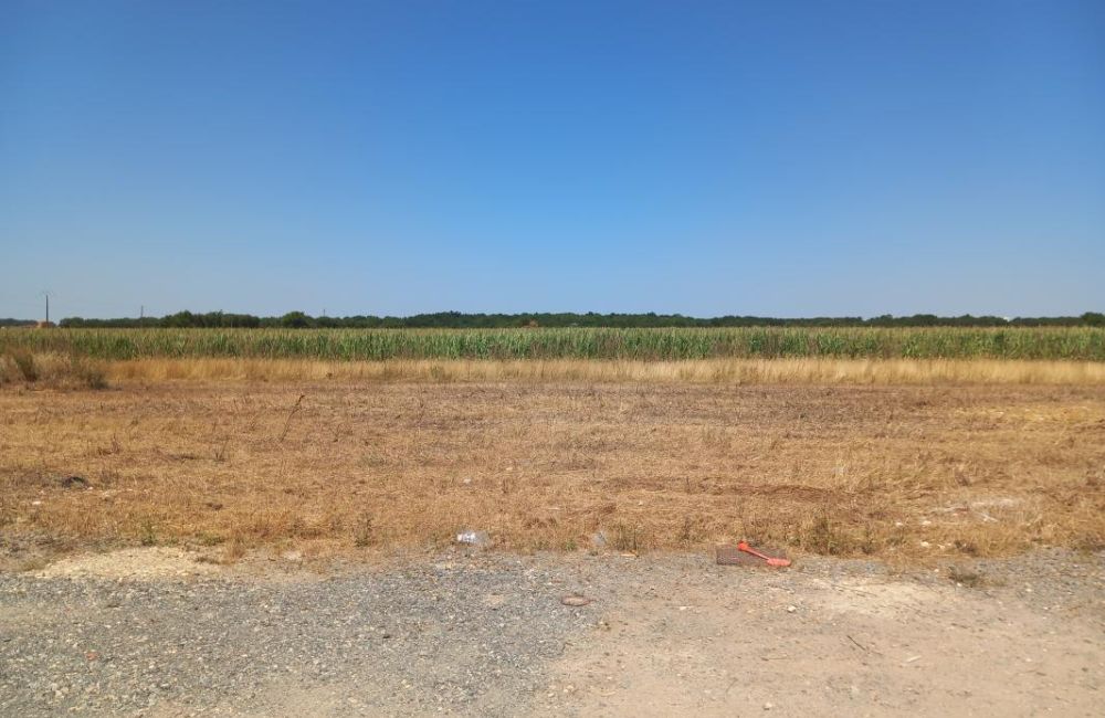 Vente terrain Bourgneuf Charente-Maritime