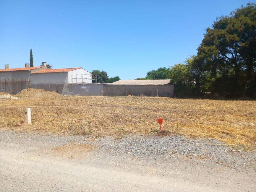 Vente terrain Saint-Médard-d'Aunis Charente-Maritime