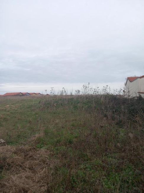 Vente terrain Châtelaillon-Plage Charente-Maritime