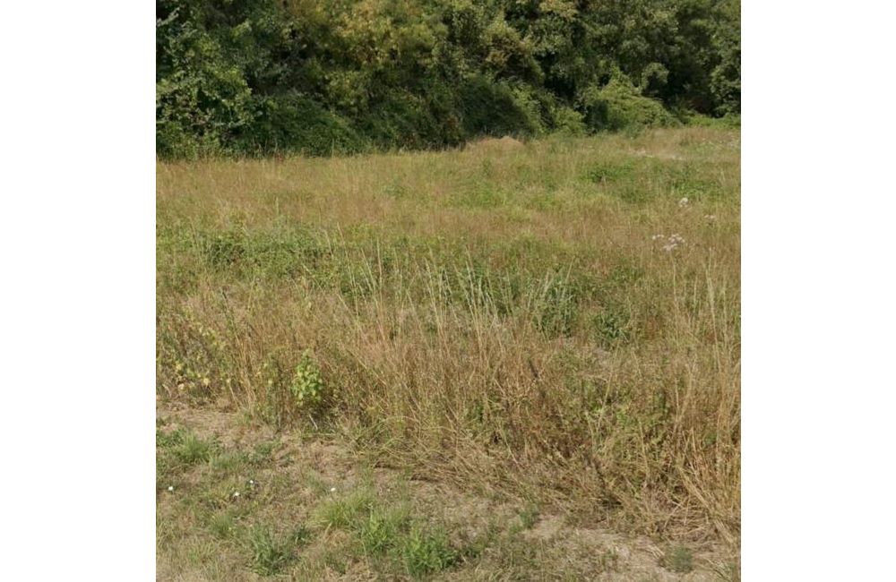 Vente terrain Aigrefeuille-d'Aunis Charente-Maritime