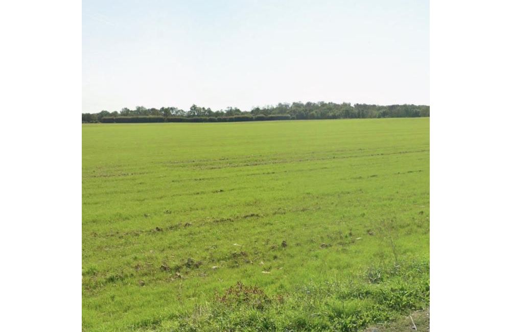Vente terrain Angliers Charente-Maritime
