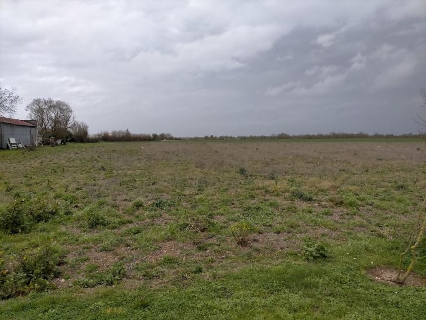 Vente terrain Saint-Hippolyte Charente-Maritime