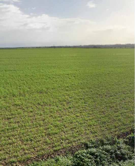 Vente terrain Saint-Ouen-d'Aunis Charente-Maritime