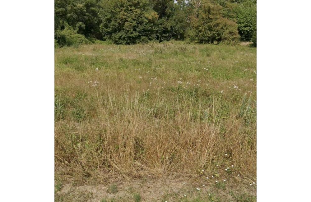 Vente terrain Aigrefeuille-d'Aunis Charente-Maritime