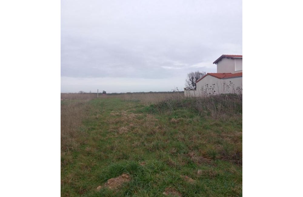 Vente terrain Châtelaillon-Plage Charente-Maritime