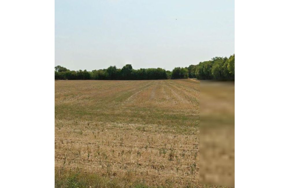 Vente terrain thou Charente-Maritime