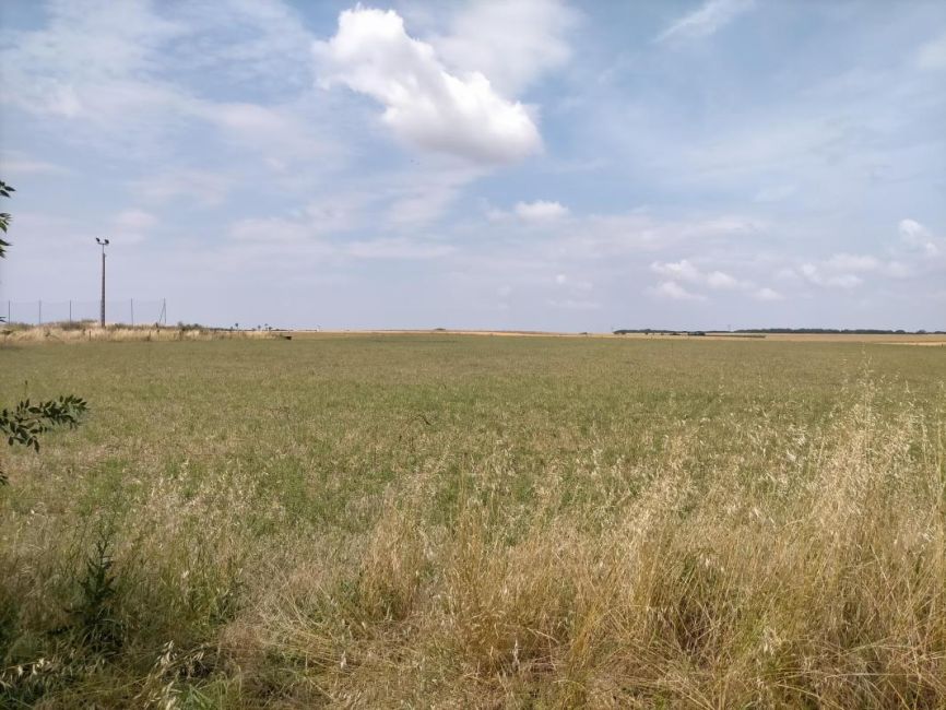 Vente terrain Saint-Agnant Charente-Maritime