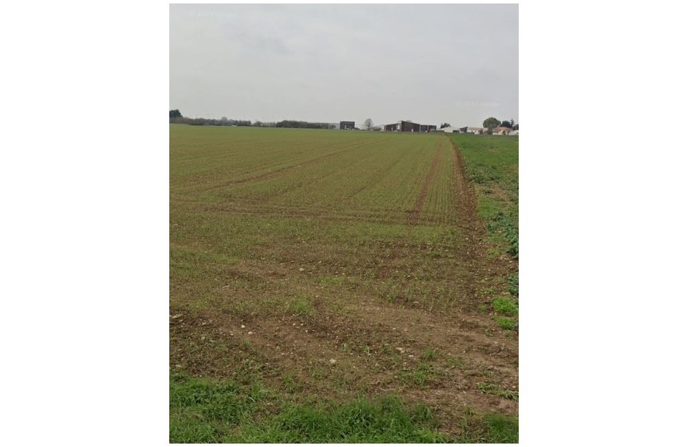 Vente terrain Villedoux Charente-Maritime