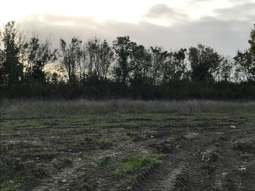 Venteterrain