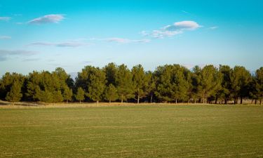 Le type de terrain